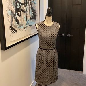 Sarah Campbell Classic Sheath Dress